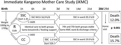 New policies on skin-to-skin contact warrant an oxytocin-based perspective on perinatal health care